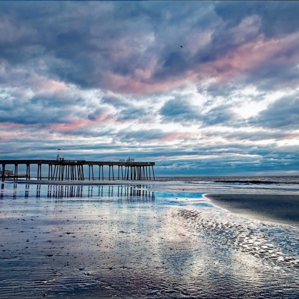 Meet your Posher, Betsy